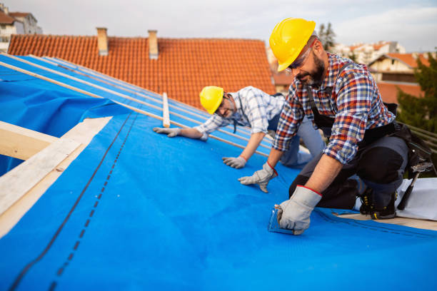 Best Roof Ventilation Installation  in Maryland Heights, MO